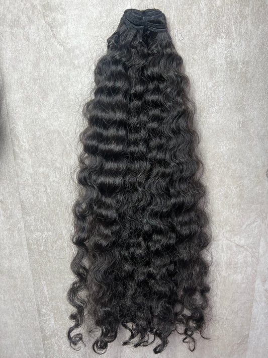 Burmese Curly